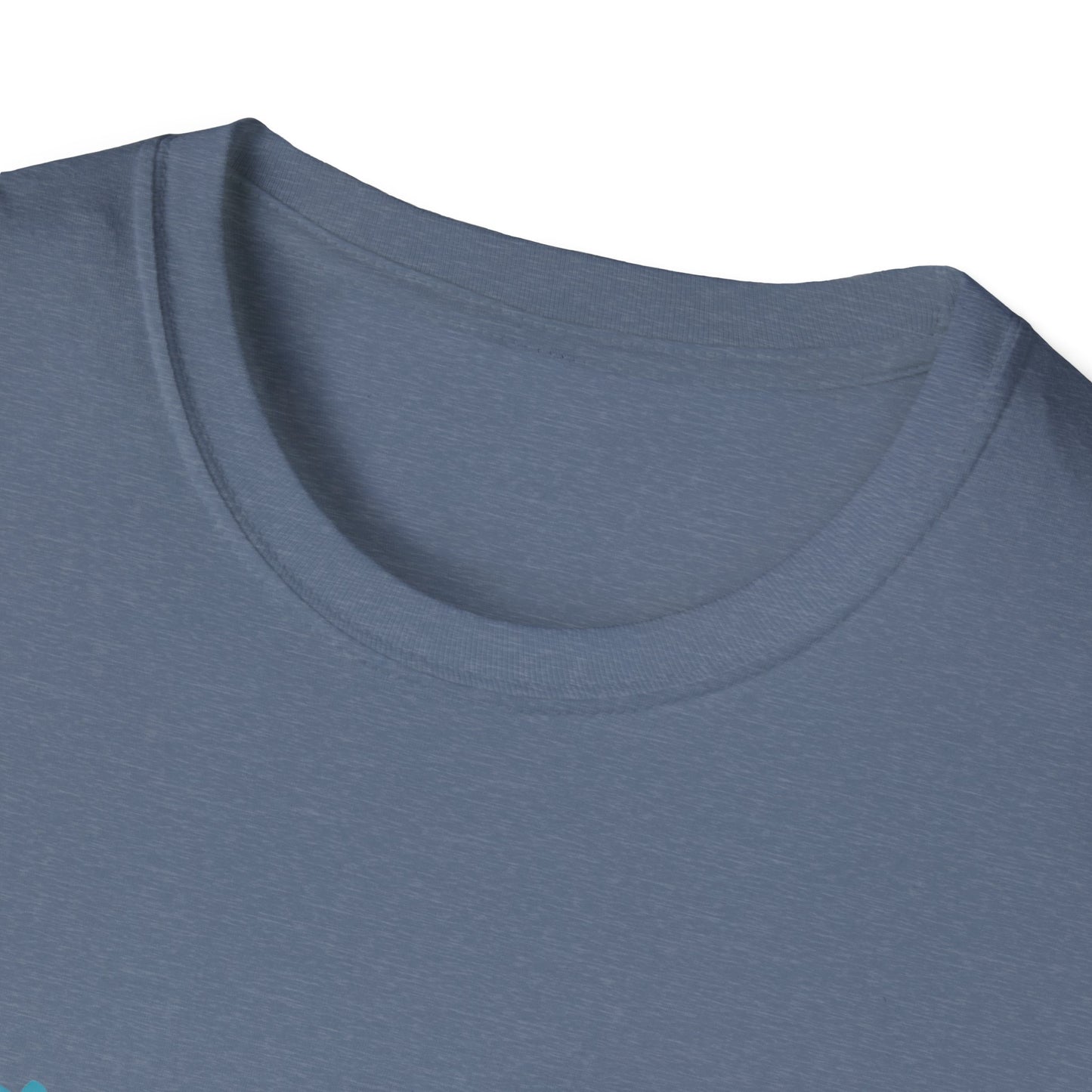 Unisex Softstyle T-Shirt with 'Season of Clarity & Hope' Design, Inspirational Tee, Motivational Apparel, Spring Fashion, Gift Idea