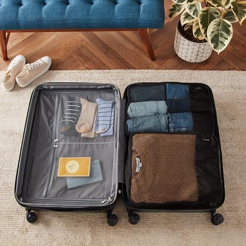 Amazon Basics Lightweight Packing Cubes for Travel, 4 Piece Set With Double Zipper Pulls and Mesh Top Panel, 100% Durable Polyester, Small, Medium, Large, and Slim, Gray