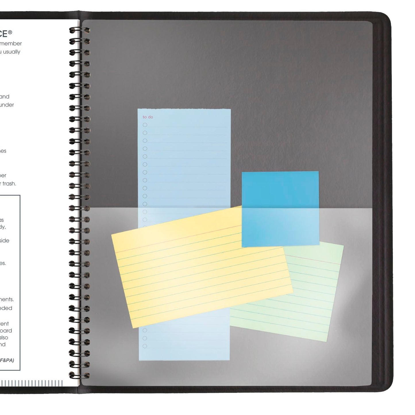 AT-A-GLANCE 2025 Planner, Monthly, 9" x 11", Large, 15 Months, Black (702600525)