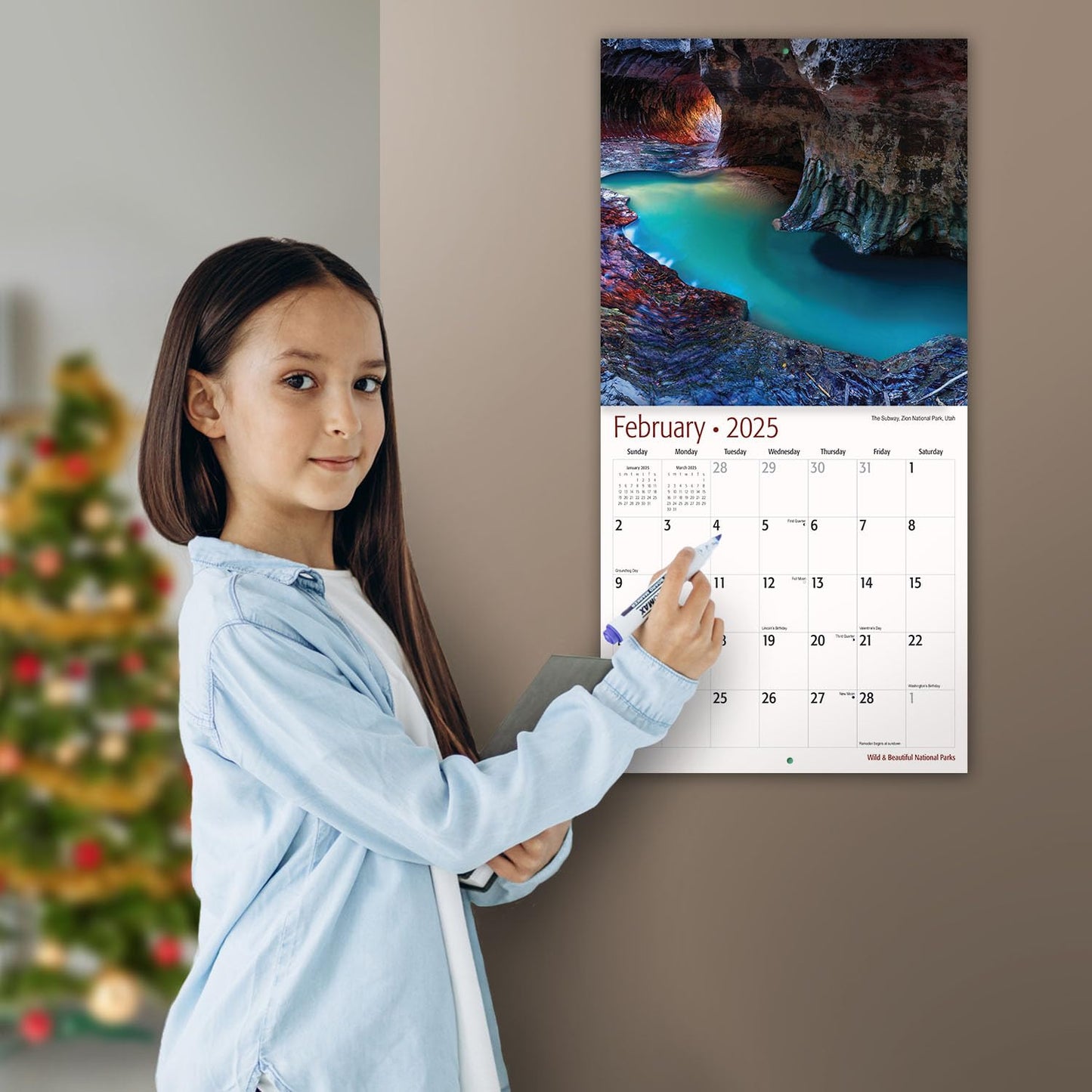 MICASA Wild & Beautiful National Parks 2025 Wall Calendar 12 Month | 12" x 24" Open | Thick & Sturdy Paper | Giftable | Calendar 2025