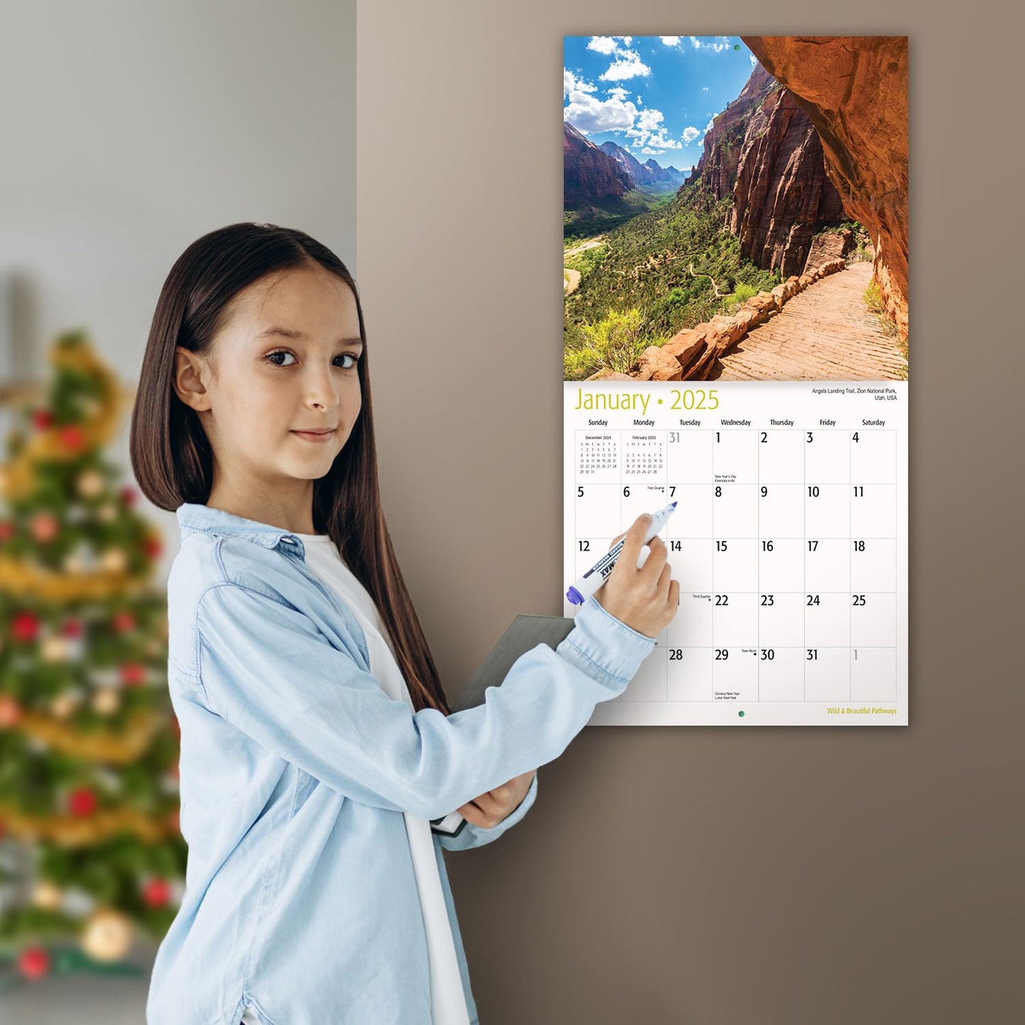 MICASA Wild & Beautiful National Parks 2025 Wall Calendar 12 Month | 12" x 24" Open | Thick & Sturdy Paper | Giftable | Calendar 2025