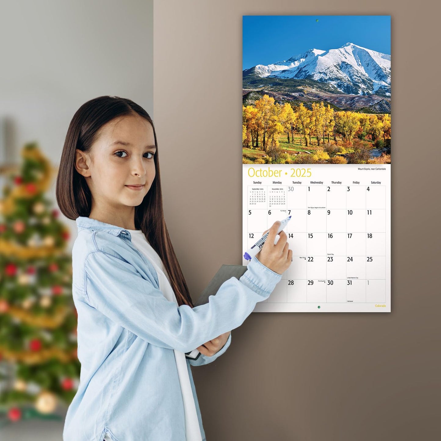 MICASA Wild & Beautiful National Parks 2025 Wall Calendar 12 Month | 12" x 24" Open | Thick & Sturdy Paper | Giftable | Calendar 2025