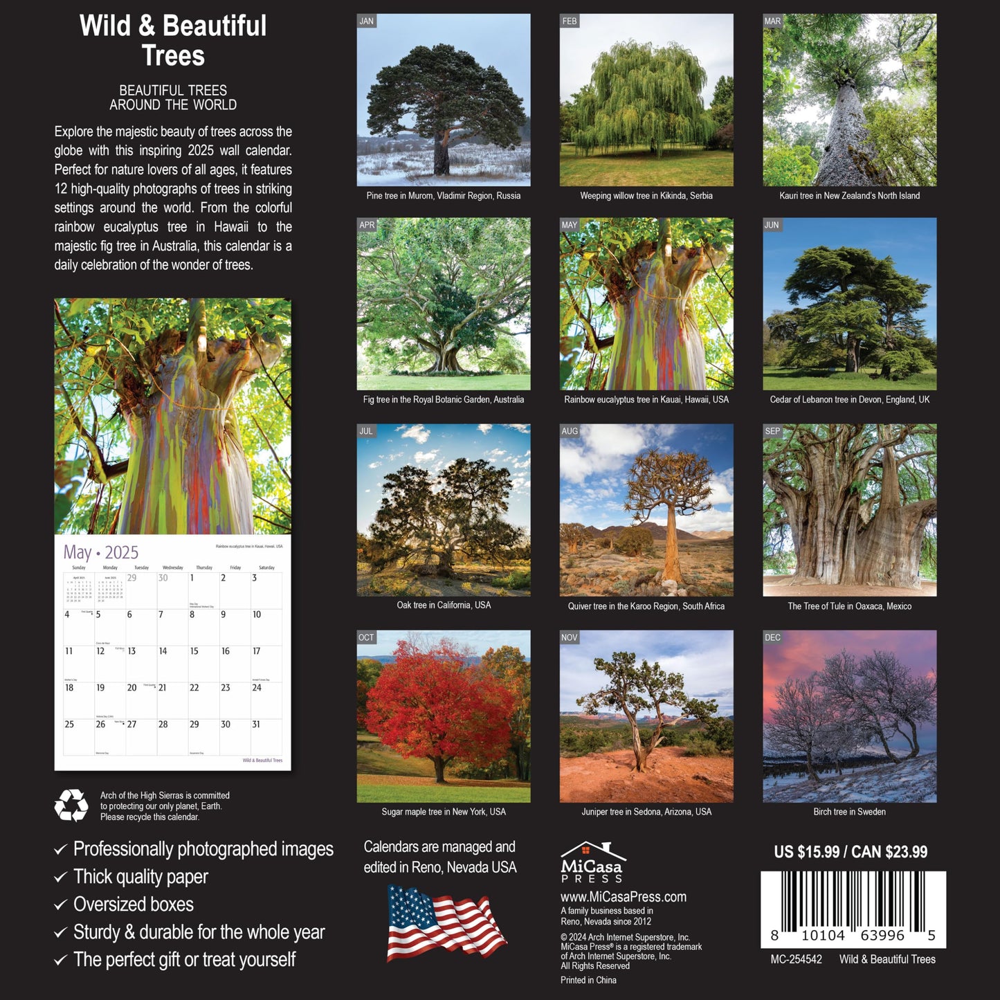 MICASA Wild & Beautiful National Parks 2025 Wall Calendar 12 Month | 12" x 24" Open | Thick & Sturdy Paper | Giftable | Calendar 2025